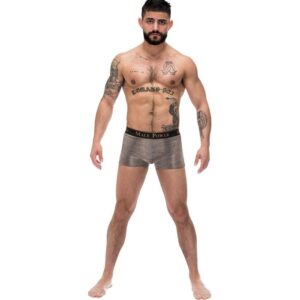 Male Power Pouch Short