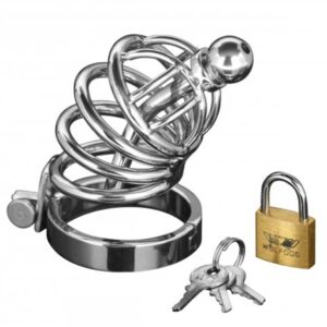 Asylum 6 Ring Locking Chastity Cage