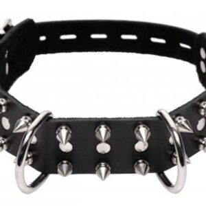 Strict Leather Spiked Dog Collar