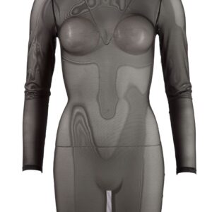 Transparent Long Sleeve Dress