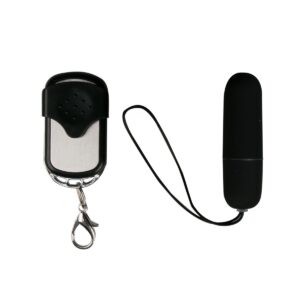 Vibrating Panties + remote