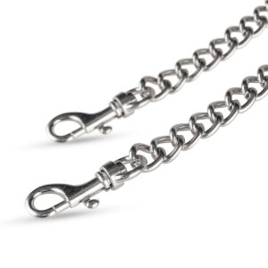 Chain With Clips - Silver