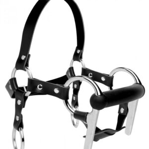 Steed Head Harness