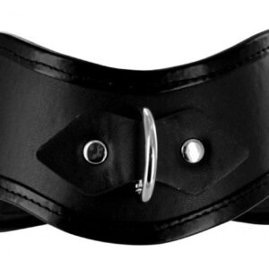 Locking Posture Collar