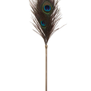 Peacock Tickler