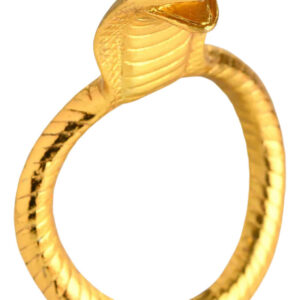 XR Master Series: Cobra King, Golden C-Ring