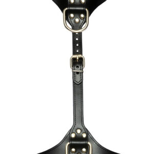 Bad Kitty: Chest Harness