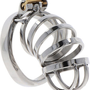 Hidden Desire: Extreme Chastity Metal Cock Cage