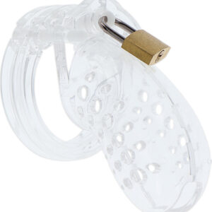 Hidden Desire: Extreme Chastity Acrylic Cock Cage