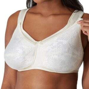 Aviana Nursing Bra 2753