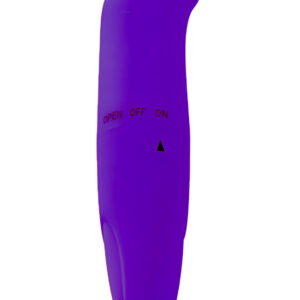 Toyz4Lovers: Classics G-spot Vibrator, purple