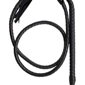 Toyz4Lovers: Fetish Art, Indy Flog Whip