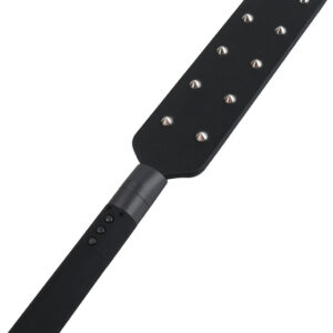 Hidden Desire Extreme: Electro Paddle