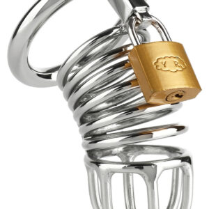 Mr Steel: Ring Master Chastity Device