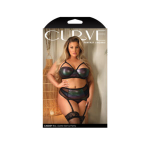 Cassidy Cage Bra Garter Belt & Panty 3X/4X