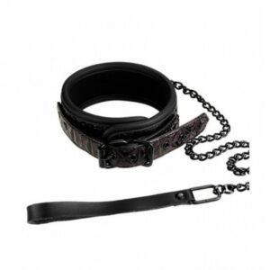 Blaze Collar with Leash Purple