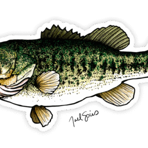 BruleBay Fish Decals
