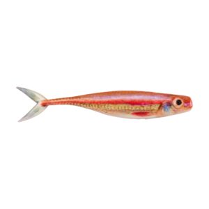Berkley PowerBait The Champ Minnow