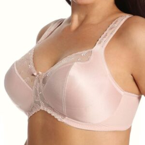 Aviana Softcup Embroidered Minimizer