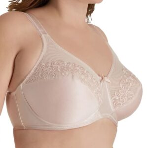 Aviana Underwire Embroidered Bra 2456