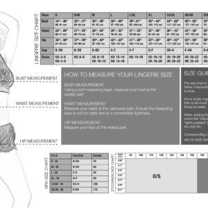 Black Label Lace Panels Harness & Panty Black O/S