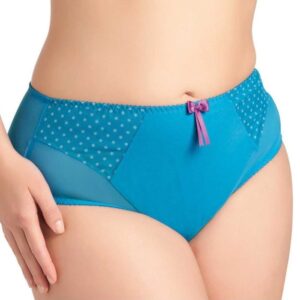 Elomi Betty Brief in Turquoise to 4X