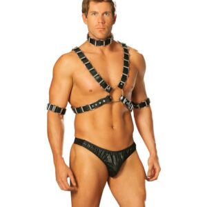 Elegant Moments 4 Piece Adjustable Harness, Set Includes Leather Harness, Arm Bands And Collar EML9663